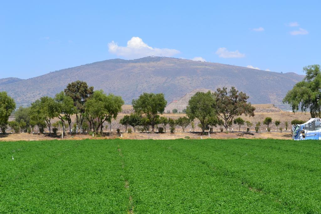 Hotel Quetzalcalli San Juan Teotihuacán Dış mekan fotoğraf